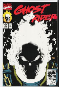 Ghost Rider #15 (1991) Ghost Rider