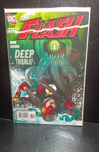 The Flash #232 (2007)