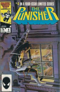 the punisher mini series #2,3,4,5 van/nm collection $25.00