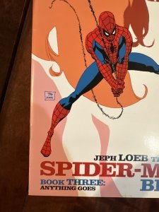 Spider-Man: Blue #3 (2002)