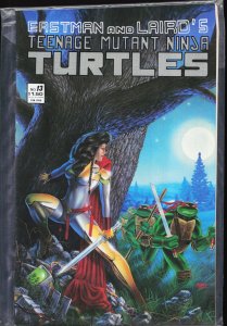 Teenage Mutant Ninja Turtles #13 (1988) [Key Issue]