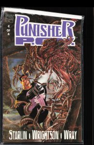 The Punisher: P.O.V. #4 (1991) Punisher