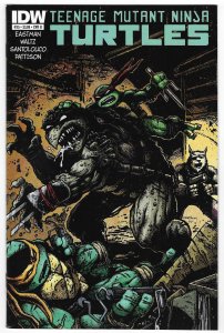 Teenage Mutant Ninja Turtles #35 Cover B (2014)