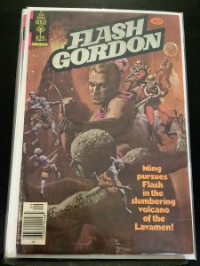Flash Gordon #25 (1979)