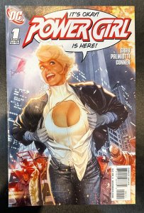 (2009) POWER GIRL #1 Adam Hughes Variant Cover!