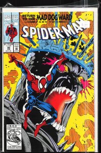 Spider-Man #30 (1993) Spider-Man