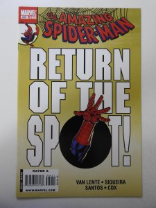 The Amazing Spider-Man #589 (2009)
