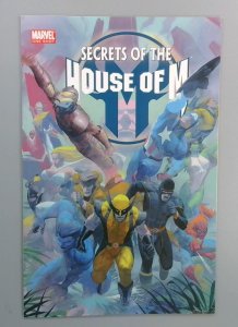 Secrets of the House of M #1, Marvel, 2005