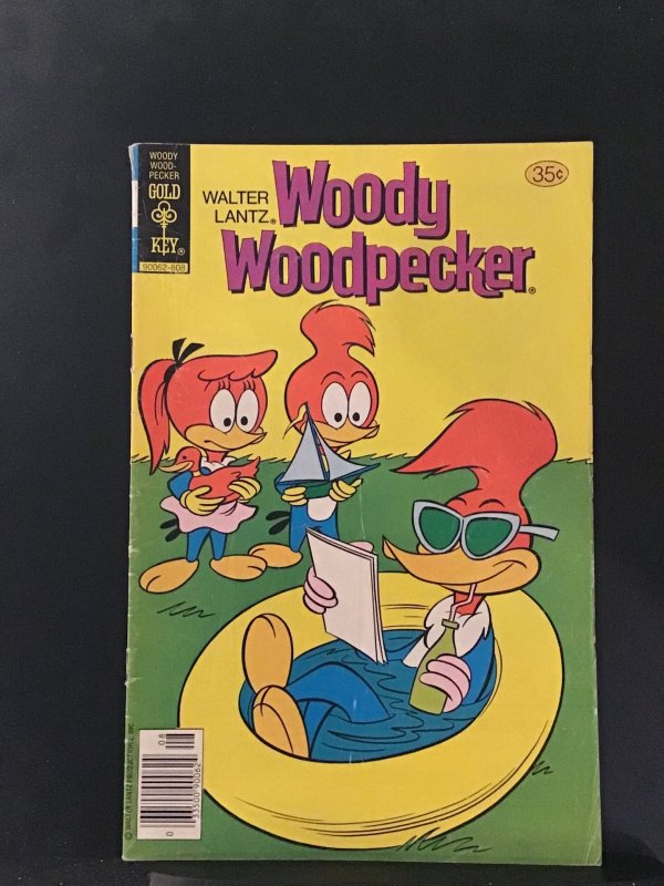 Walter Lantz Woody Woodpecker #169