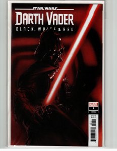 Star Wars: Darth Vader - Black, White & Red #1 Dell'Otto Cover (2023) Darth V...