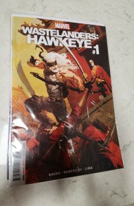 Wastelanders: Hawkeye (2022)