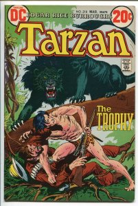TARZAN #218 1973-DC-EDGAR RICE BURROUGHS-JOE KUBERT JUNGLE ART-vf