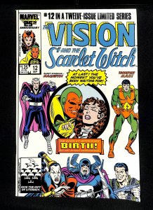 Vision and the Scarlet Witch #12