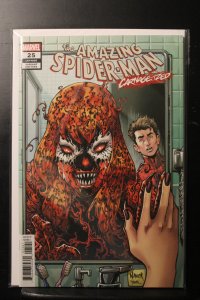 The Amazing Spider-Man #25 Variant Cover (2019)