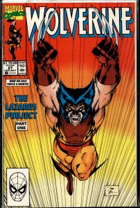 Wolverine #27 (1990) Wolverine