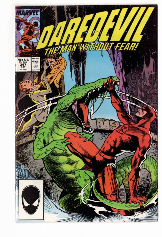 Daredevil #247 (1987)