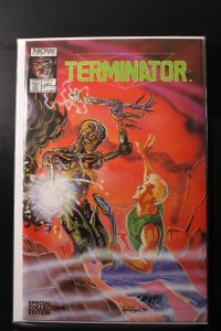 The Terminator: All My Futures Past #2 (1990)