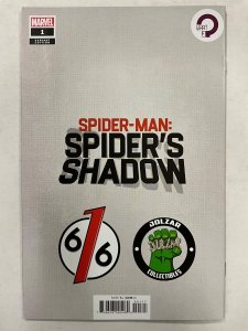 Spider-Man: The Spider's Shadow #1 Hotz Cover B