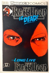 The Black Hood #2 (7.0, 1992)