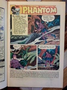 The Phantom #58 FN 6.0 (Charlton Comics 1974) Pat Boyette Cover & Art 3 Stories!