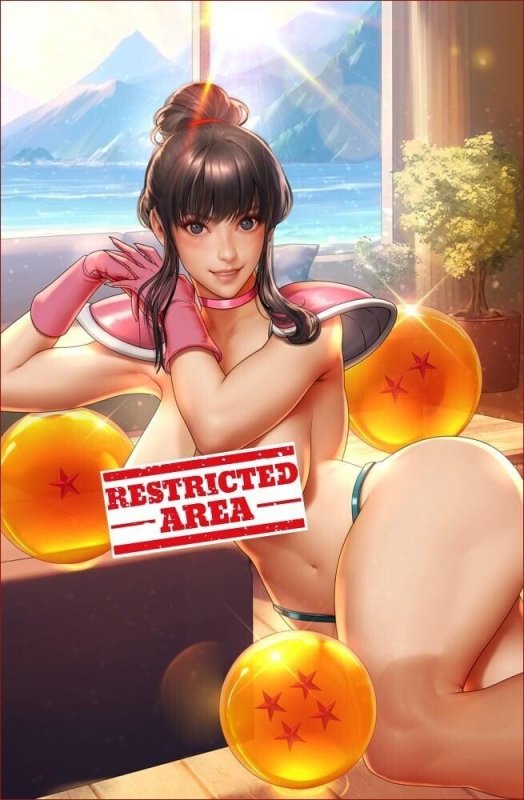 Chi Chi Dragon Ball Z Cosplay 5 Book Set by Bearwitch BooKoo Bear Babes