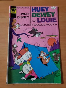 Huey, Dewey and Louie Junior Woodchucks #43 (1977)