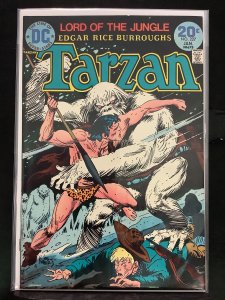 Tarzan #227 (1974)