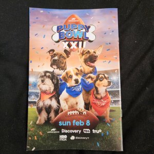 Absolute Batman # 16