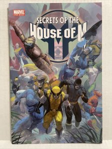 Secrets Of The House Of M - One Shot