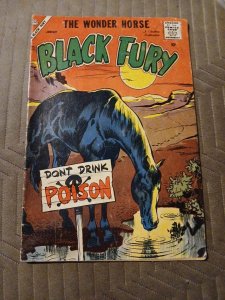 Black Fury The Wonder Horse Comic Book #17 Charlton January 1959 Silver Age Cdc