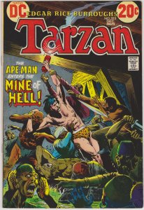 Tarzan #215