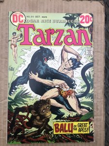 Tarzan #213 (1972)