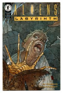 ALIENS: LABYRINTH #03 (1993) KILIAN PLUNKETT | DIRECT EDITION