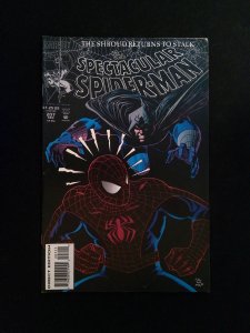 Spectacular Spider-Man #207  Marvel Comics 1993 VF+