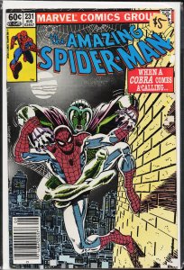The Amazing Spider-Man #231 (1982) Spider-Man