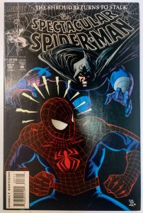 The Spectacular Spider-Man #207 (9.0, 1993)