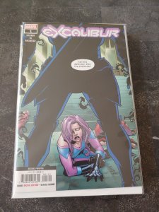 EXCALIBUR #1