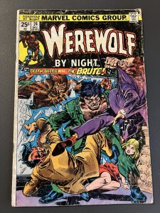 Werewolf by Night #24 (1974)