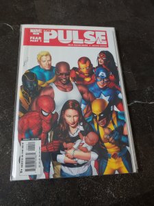 The Pulse #13 (2006)