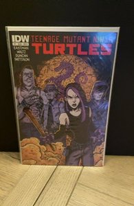 Teenage Mutant Ninja Turtles #11 Cover B (2012)