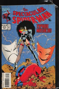 The Spectacular Spider-Man #213 (1994) Spider-Man