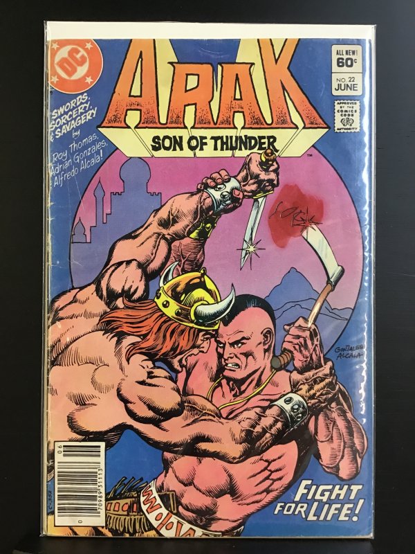 Arak, Son of Thunder #22 (1983)