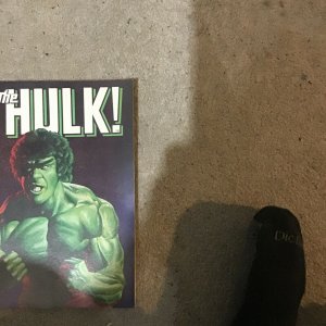 Hulk Vol.1 #25 (1977 Marvel Magazine) 