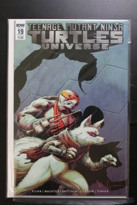 Teenage Mutant Ninja Turtles Universe #19 Cover B (2017)