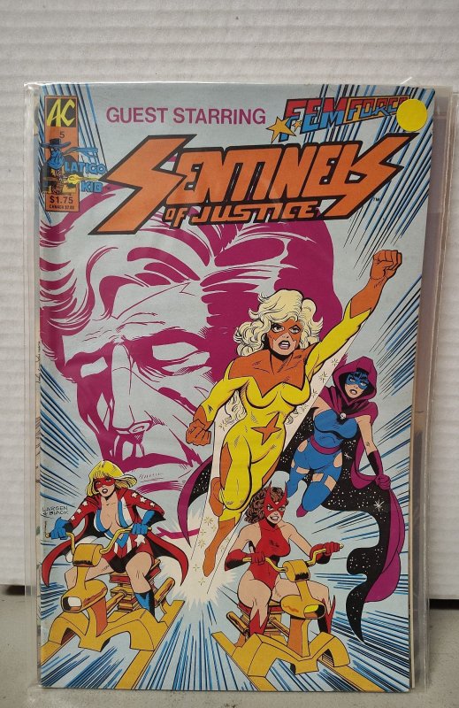 Captain Paragon and the Sentinels of Justice #5 (1986). H37