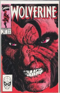Wolverine #21 (1990) Wolverine