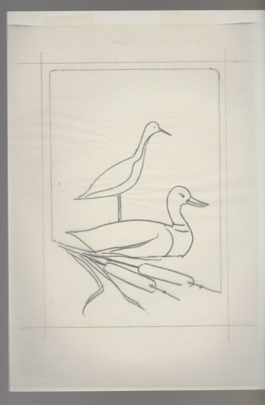 FATHERS DAY Ducks w/ Cattails Drawing 6.5x9.5 Greeting Card Art #nn