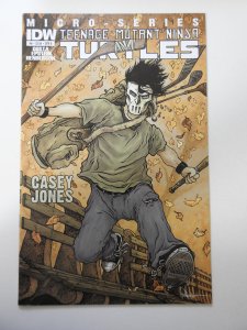 Teenage Mutant Ninja Turtles Micro-Series #6 (2012)