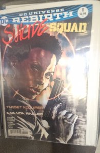 Suicide Squad #11 Variant Cover (2017)