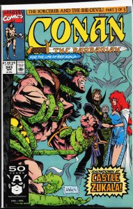 Conan the Barbarian #243 (1991) Conan